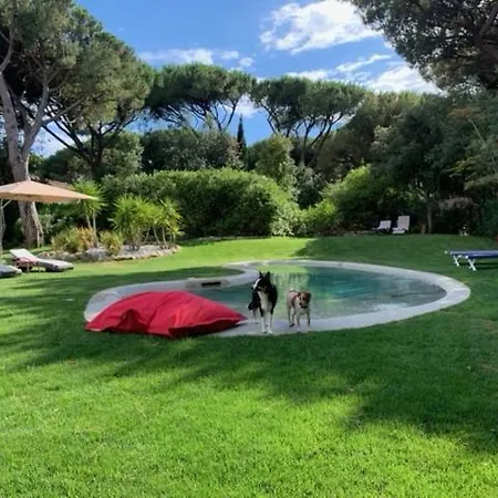 Pandora - Homelike Villa